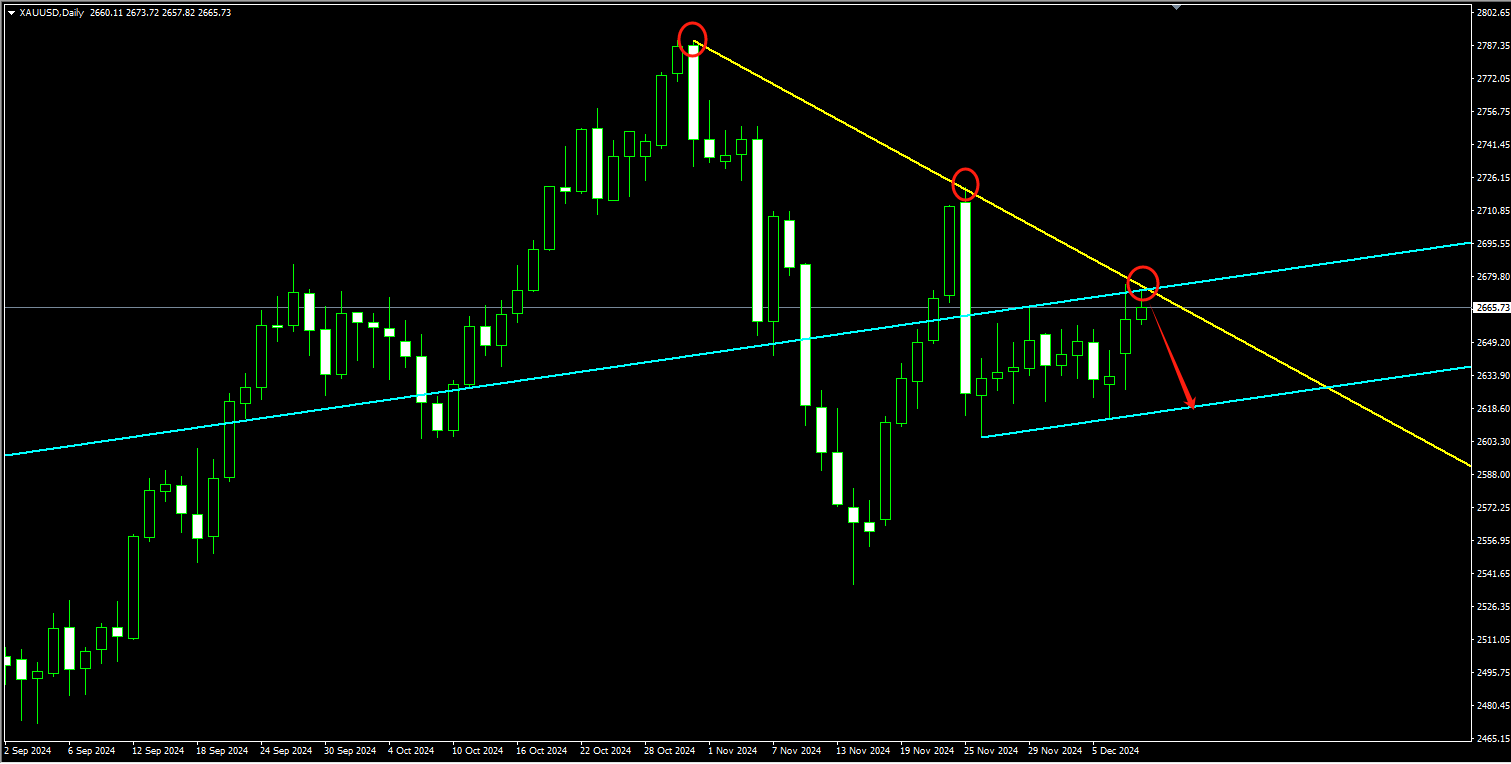 2024年12月19日:薛晓庆：黄金，震荡还将延续